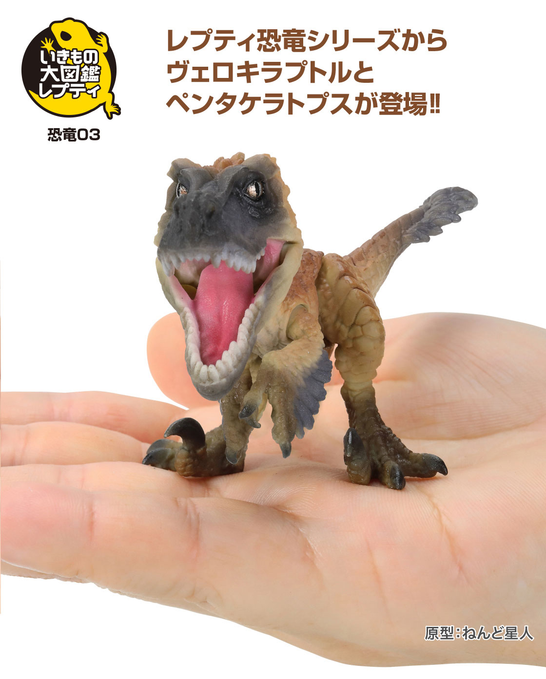 レプティ恐竜シリーズからヴェロキラプトルとペンタケラトプスが登場！！