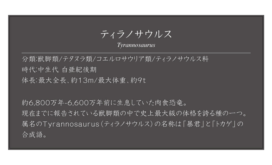 ティラノサウルス Tyrannosaurus