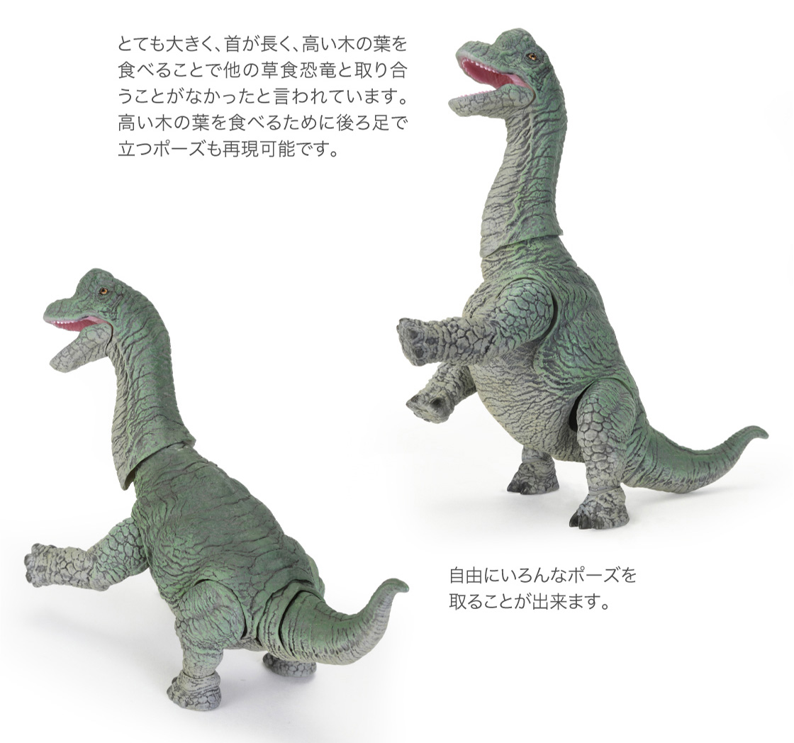 とても大きく、首が長く、高い木の葉を食べることで他の草食恐竜と取り合うことがなかったと言われています。高い木の葉を食べるために後ろ足で立つポーズも再現可能です。自由にいろんなポーズを取ることが出来ます。