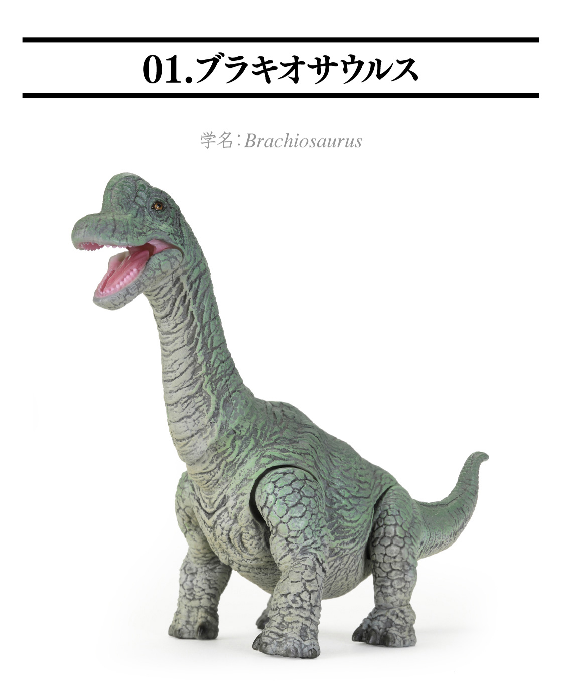 01.ブラキオサウルス