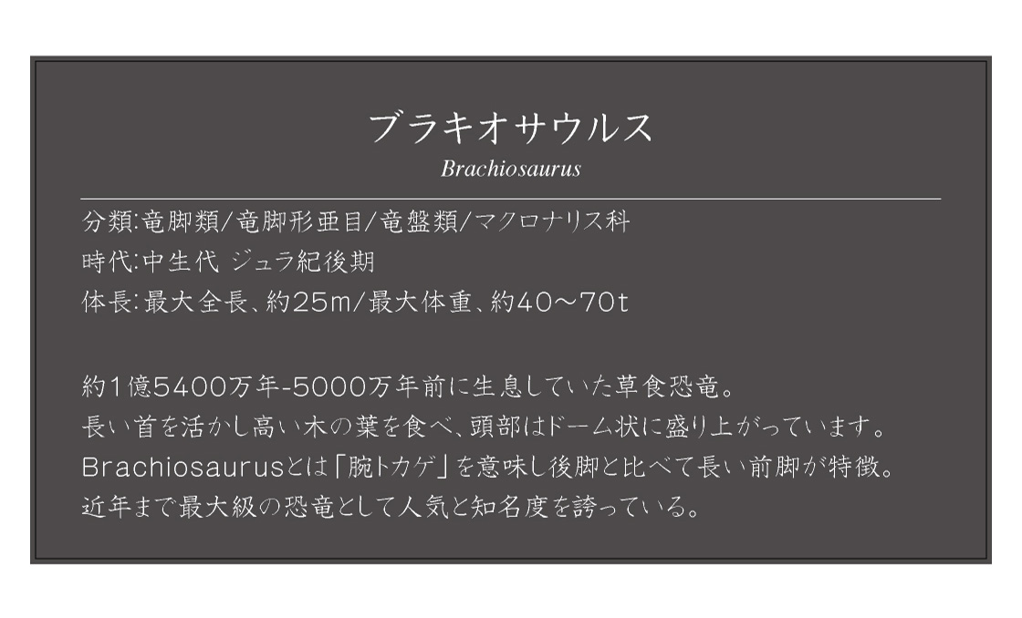 ブラキオサウルス Brachiosaurus
