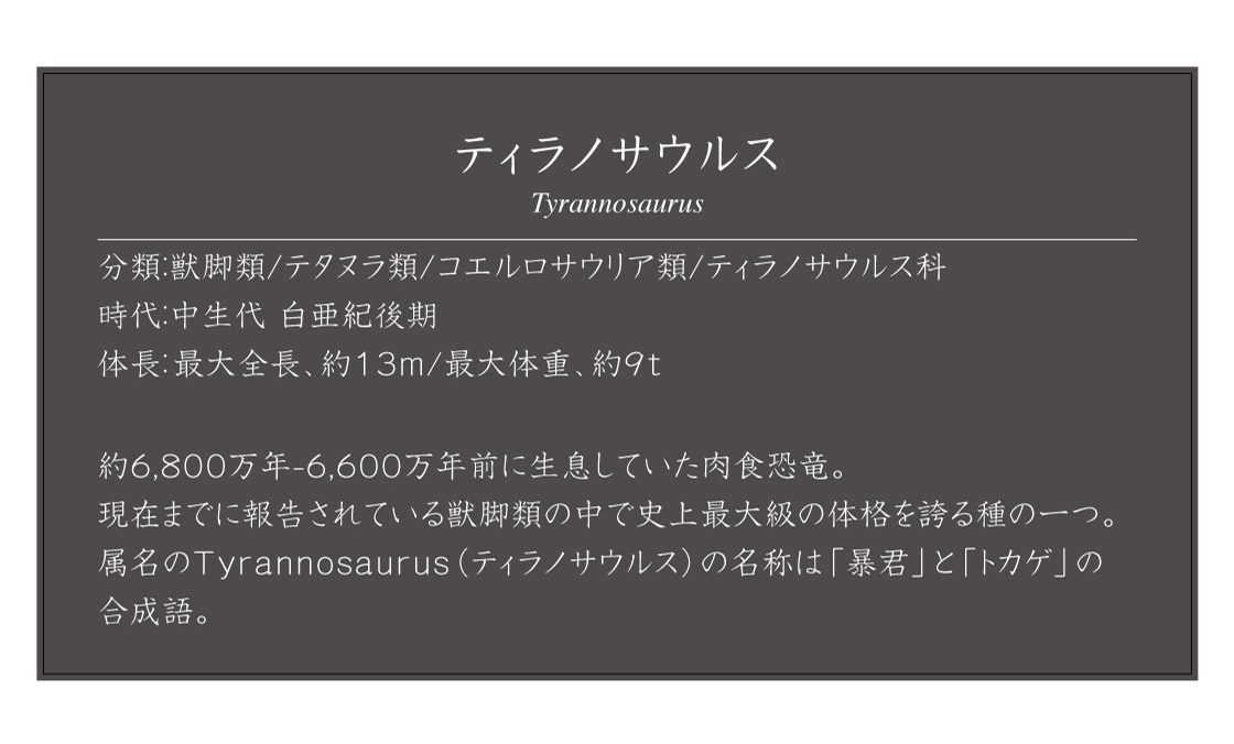 ティラノサウルス Tyrannosaurus