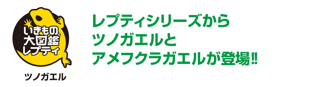 レプティシリーズからツノガエルとアメフクラガエルが登場！！