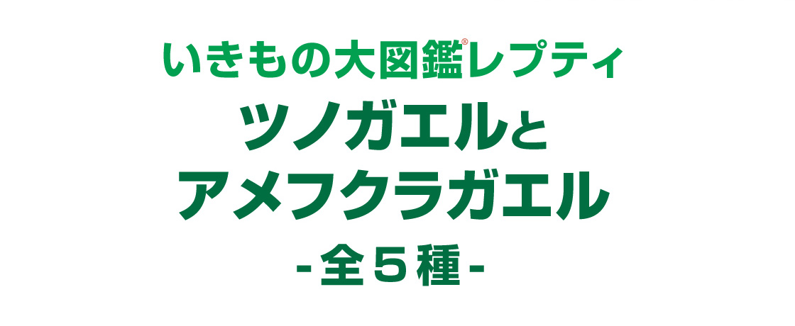 いきもの大図鑑レプティ ツノガエルとアメフクラガエル -全5種-