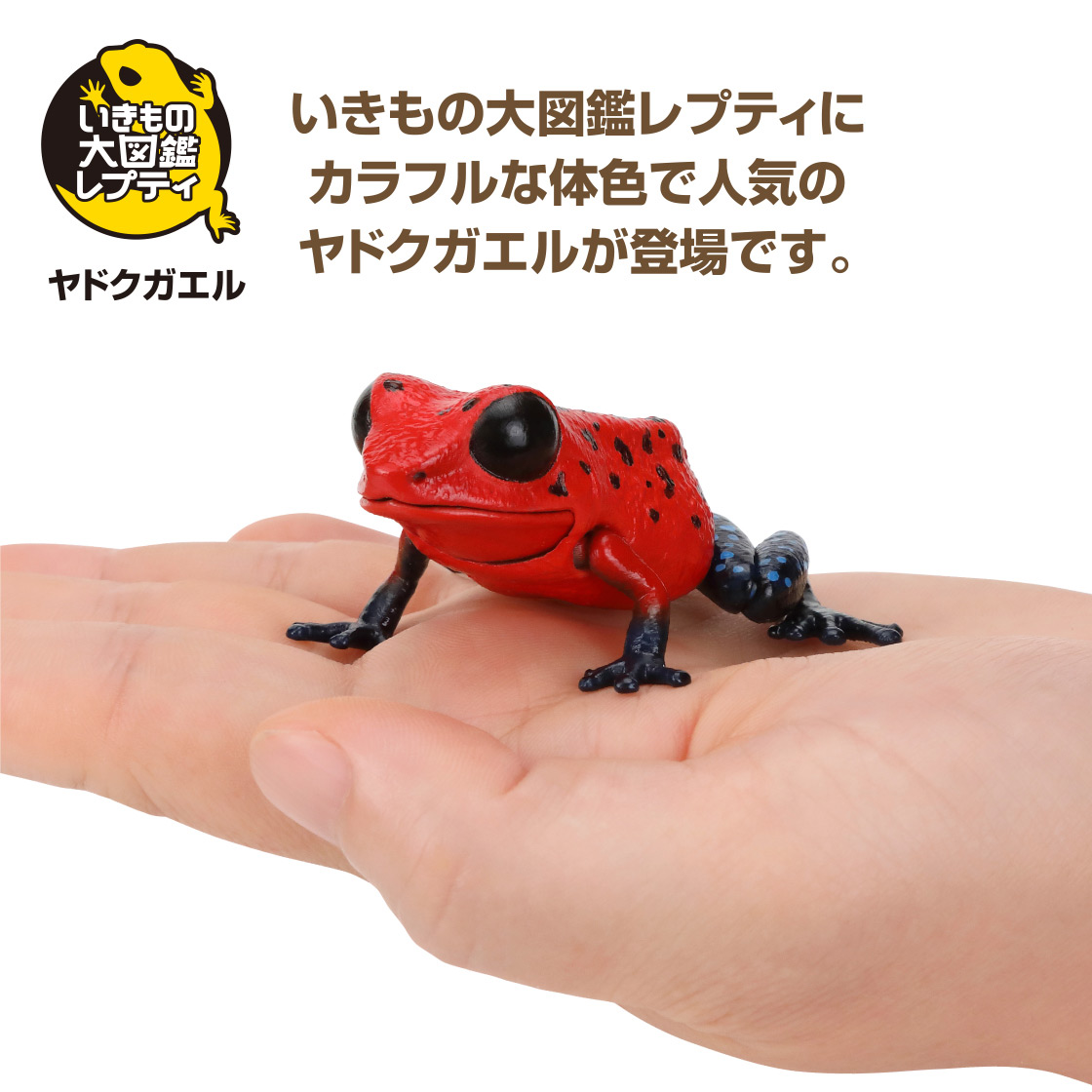 いきもの大図鑑レプティシリーズにカラフルな体色で人気のヤドクガエルが登場です。