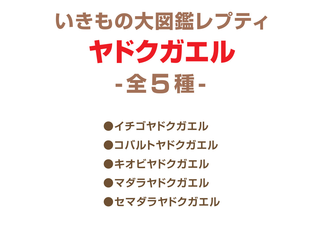 いきもの大図鑑レプティ ヤドクガエル -全5種- ●イチゴヤドクガエル ●コバルトヤドクガエル ●キオビヤドクガエル ●マダラヤドクガエル ●セマダラヤドクガエル
