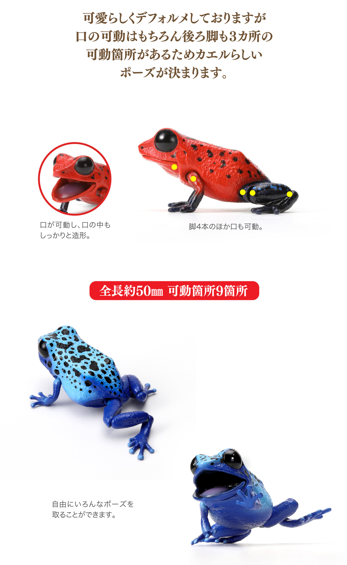可愛らしくディフォルメしておりますが口の可動はもちろん後ろ脚も3ヵ所の可動箇所があるためカエルらしいポーズが決まります。 全長約50mm 可動箇所9箇所