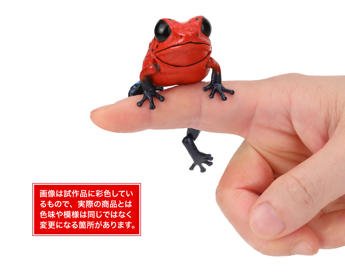 イチゴヤドクガエル 画像は試作品に彩色しているもので、実際の商品とは色味や模様は同じではなく変更になる箇所があります。