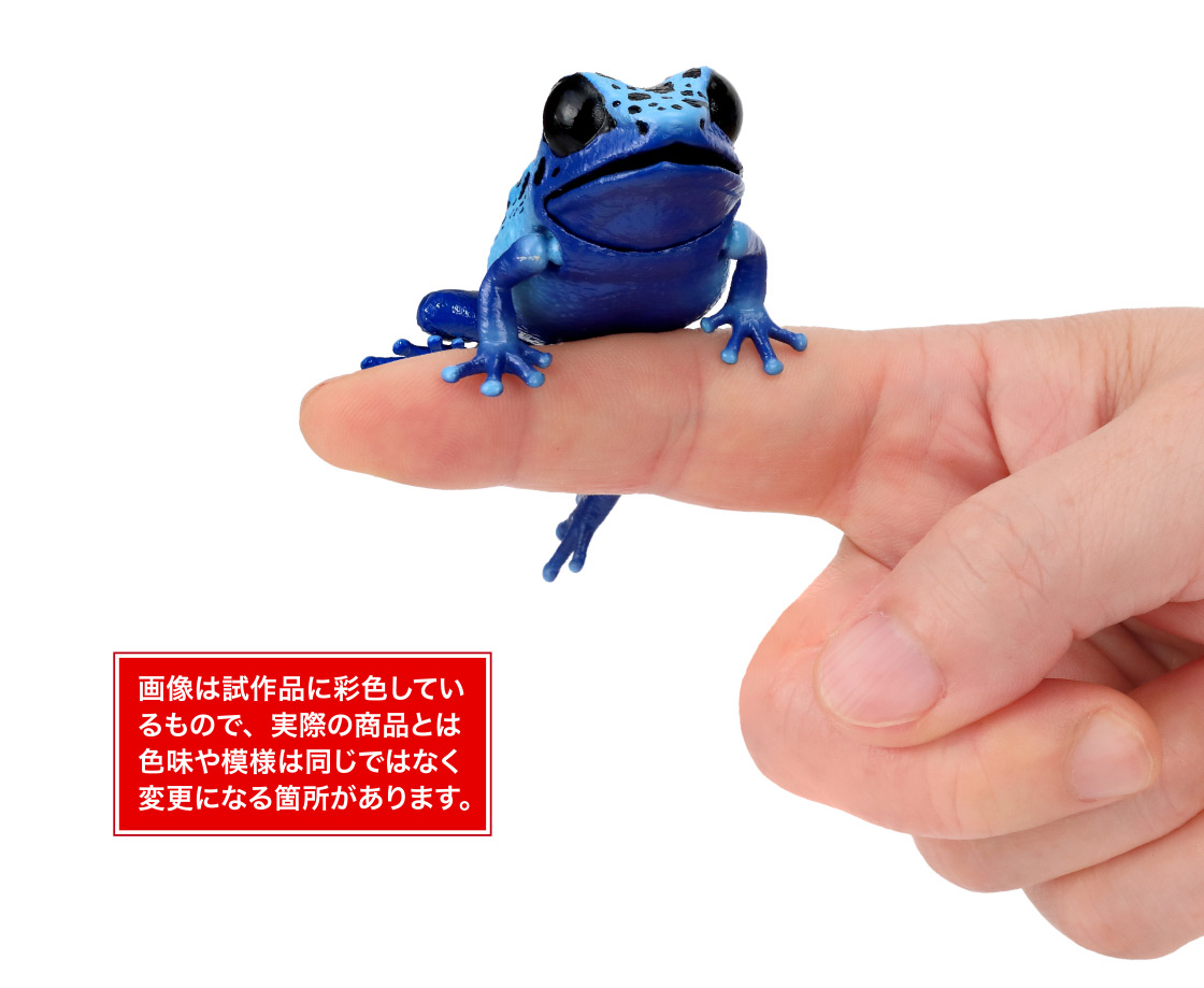 コバルトヤドクガエル 画像は試作品に彩色しているもので、実際の商品とは色味や模様は同じではなく変更になる箇所があります。