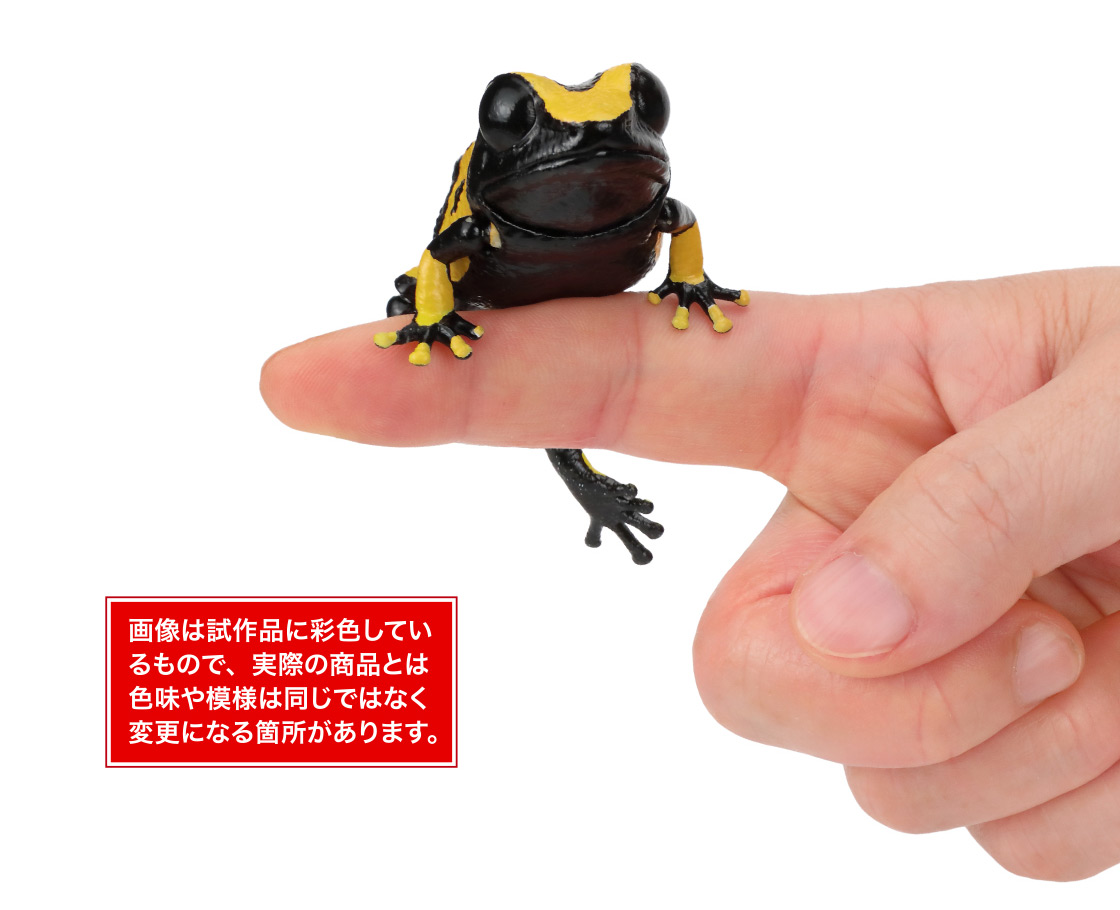 キオビヤドクガエル 画像は試作品に彩色しているもので、実際の商品とは色味や模様は同じではなく変更になる箇所があります。