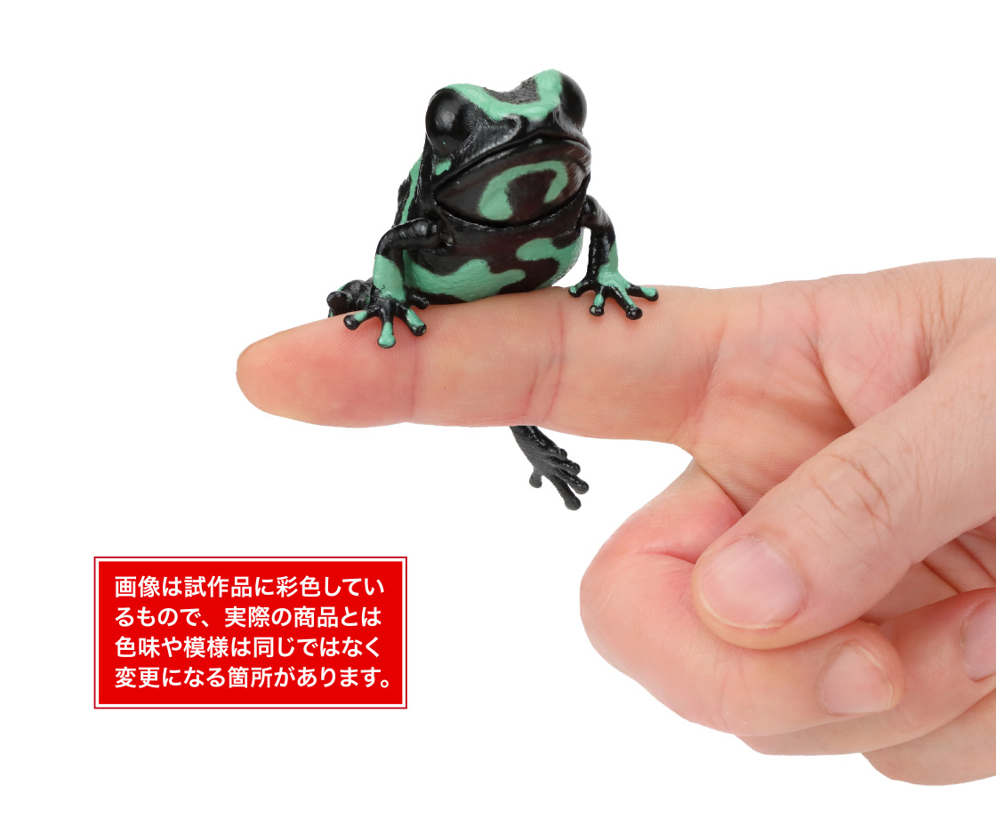 マダラヤドクガエル 画像は試作品に彩色しているもので、実際の商品とは色味や模様は同じではなく変更になる箇所があります。