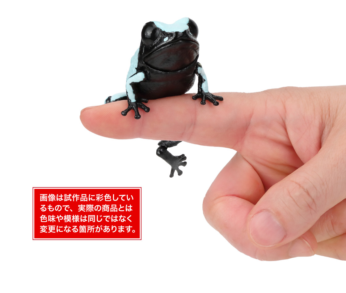 セマダラヤドクガエル 画像は試作品に彩色しているもので、実際の商品とは色味や模様は同じではなく変更になる箇所があります。