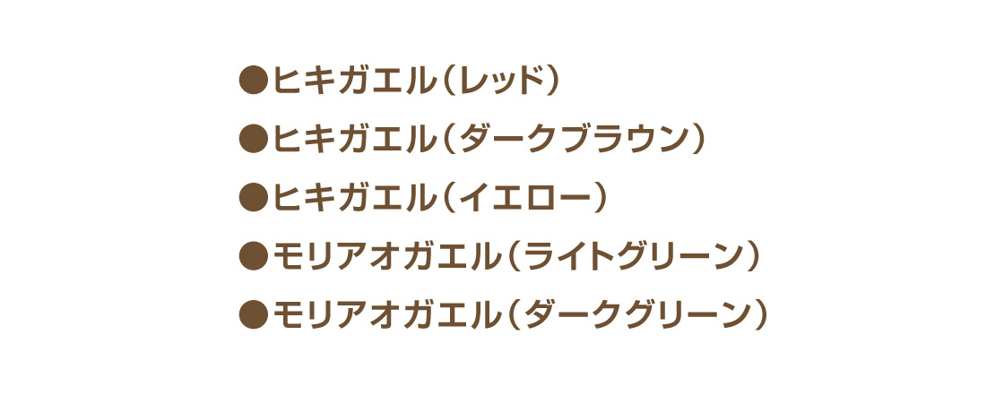 ●ヒキガエル(レッド) ●ヒキガエル(ダークブラウン) ●ヒキガエル(イエロー) ●モリアオガエル(ライトグリーン) ●モリアオガエル(ダークグリーン)