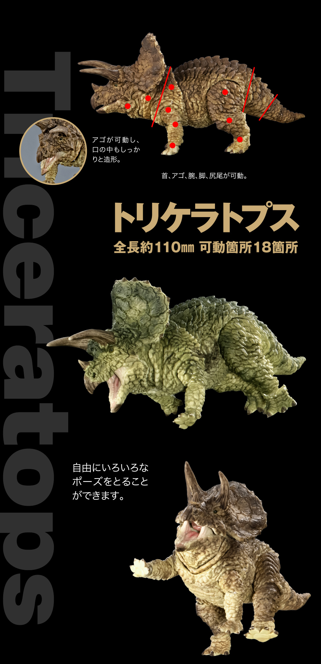 トリケラトプス 全長約110mm 可動箇所18箇所