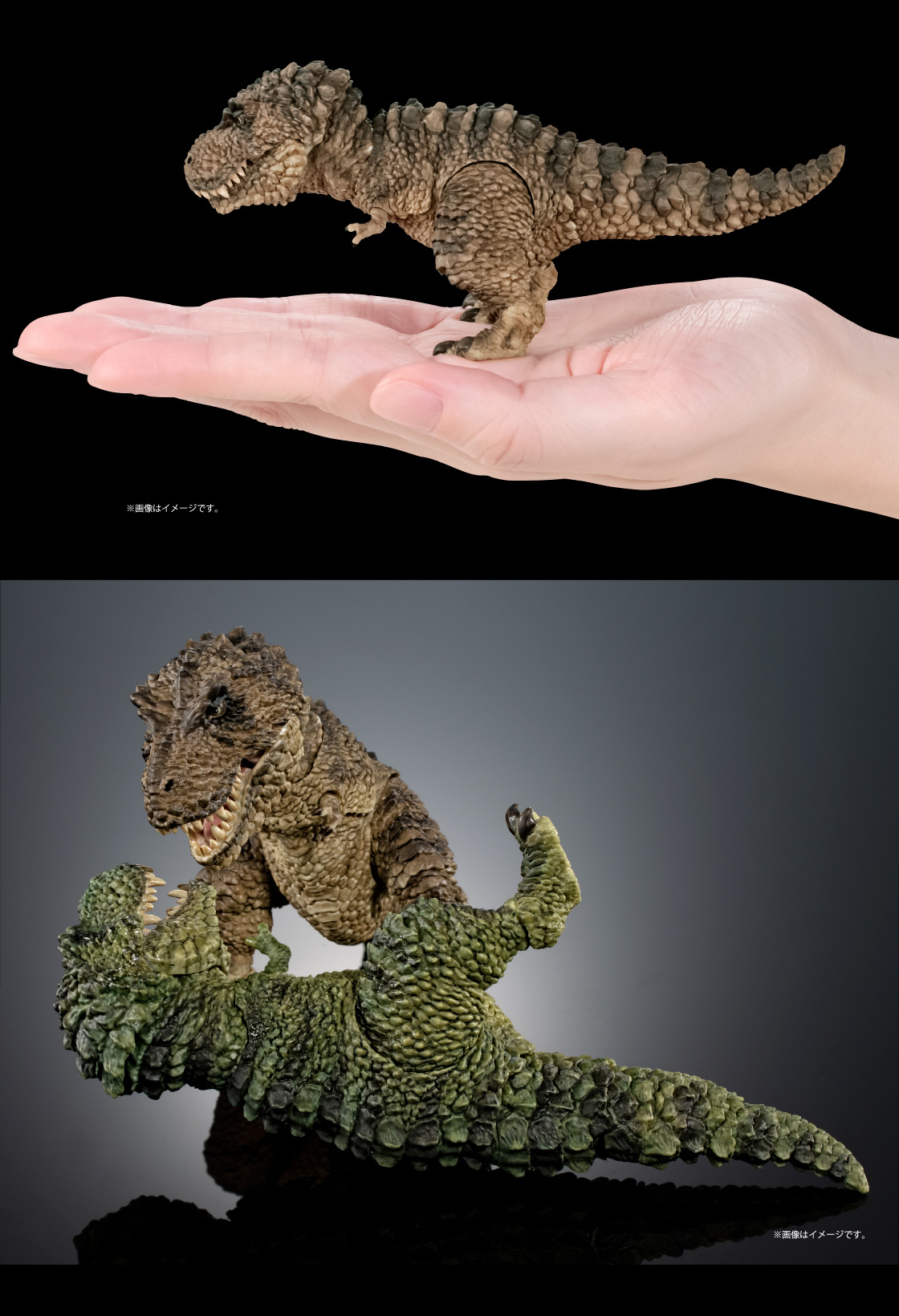 ティラノサウルス ※画像はイメージです。