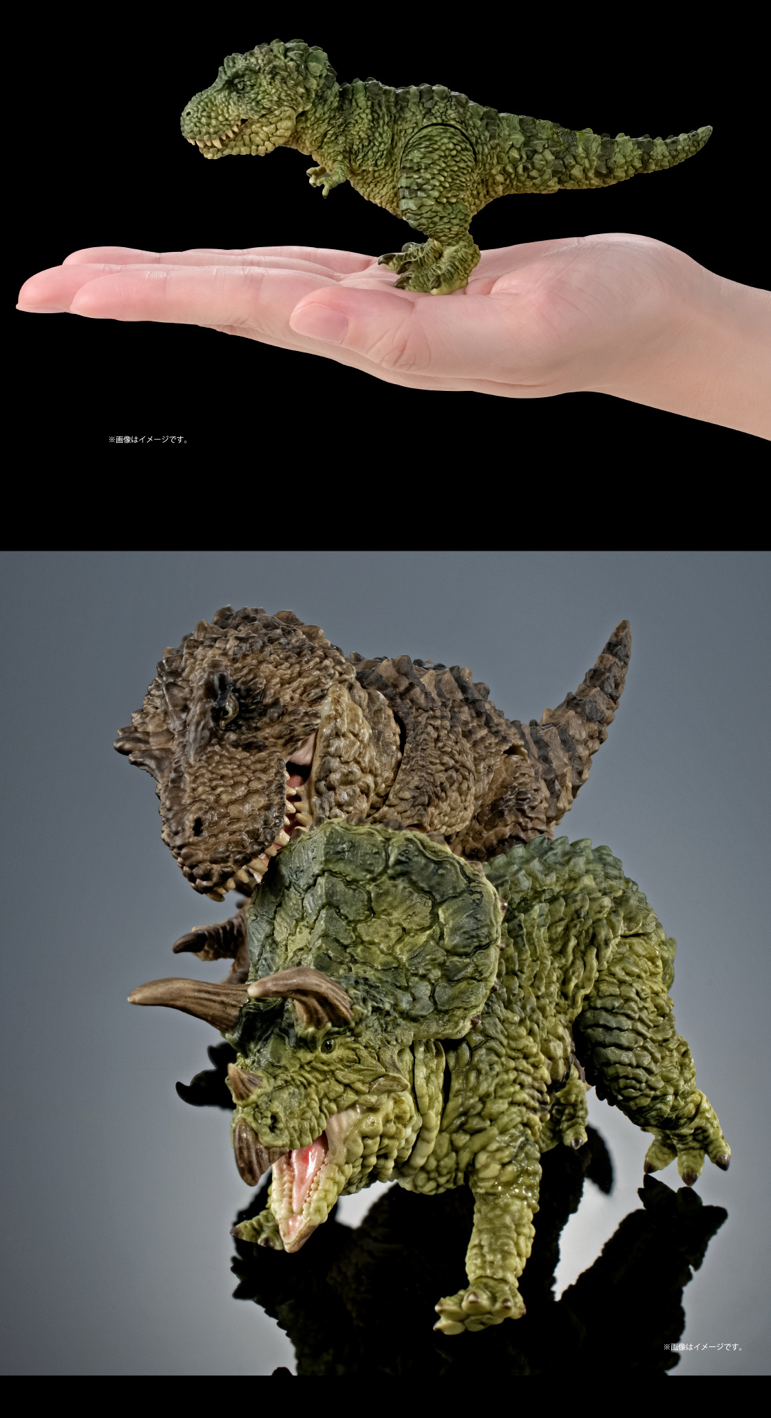 ティラノサウルス ※画像はイメージです。