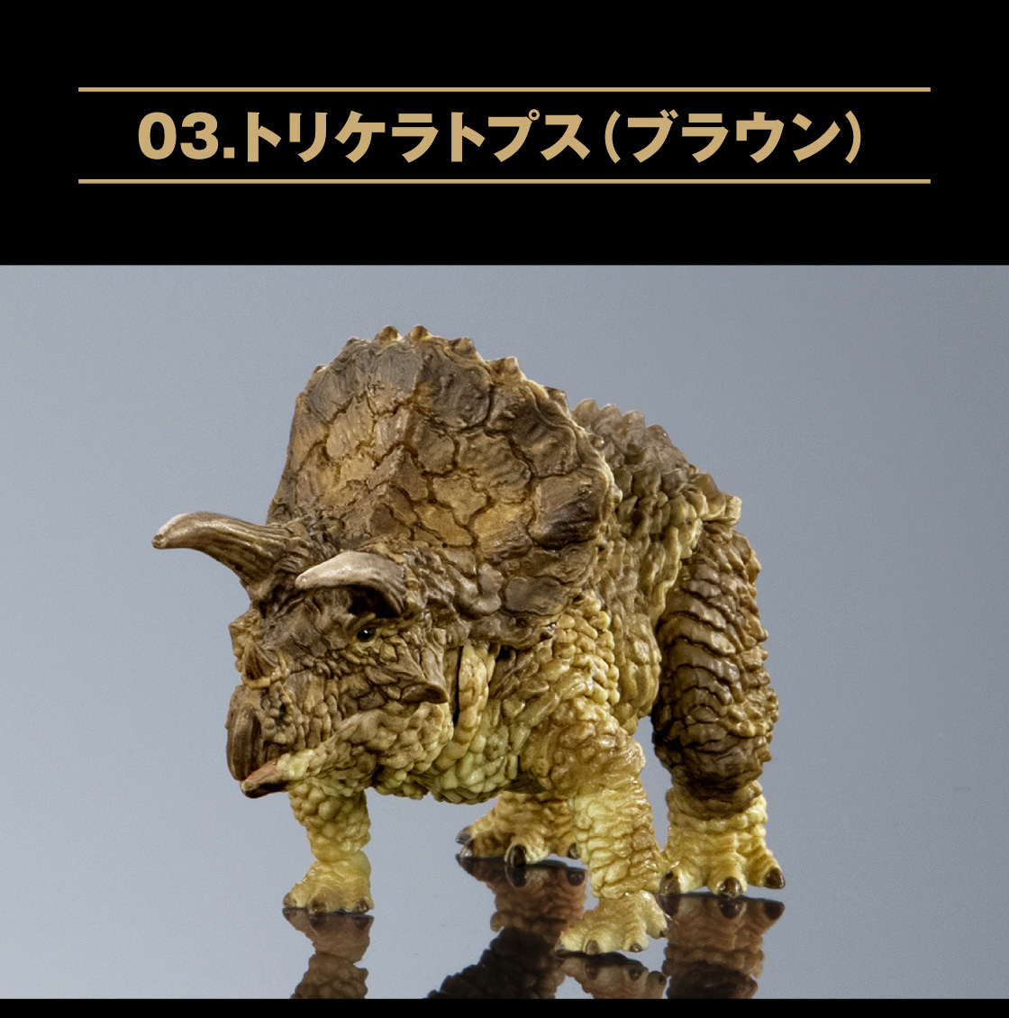 03.トリケラトプス(ブラウン)