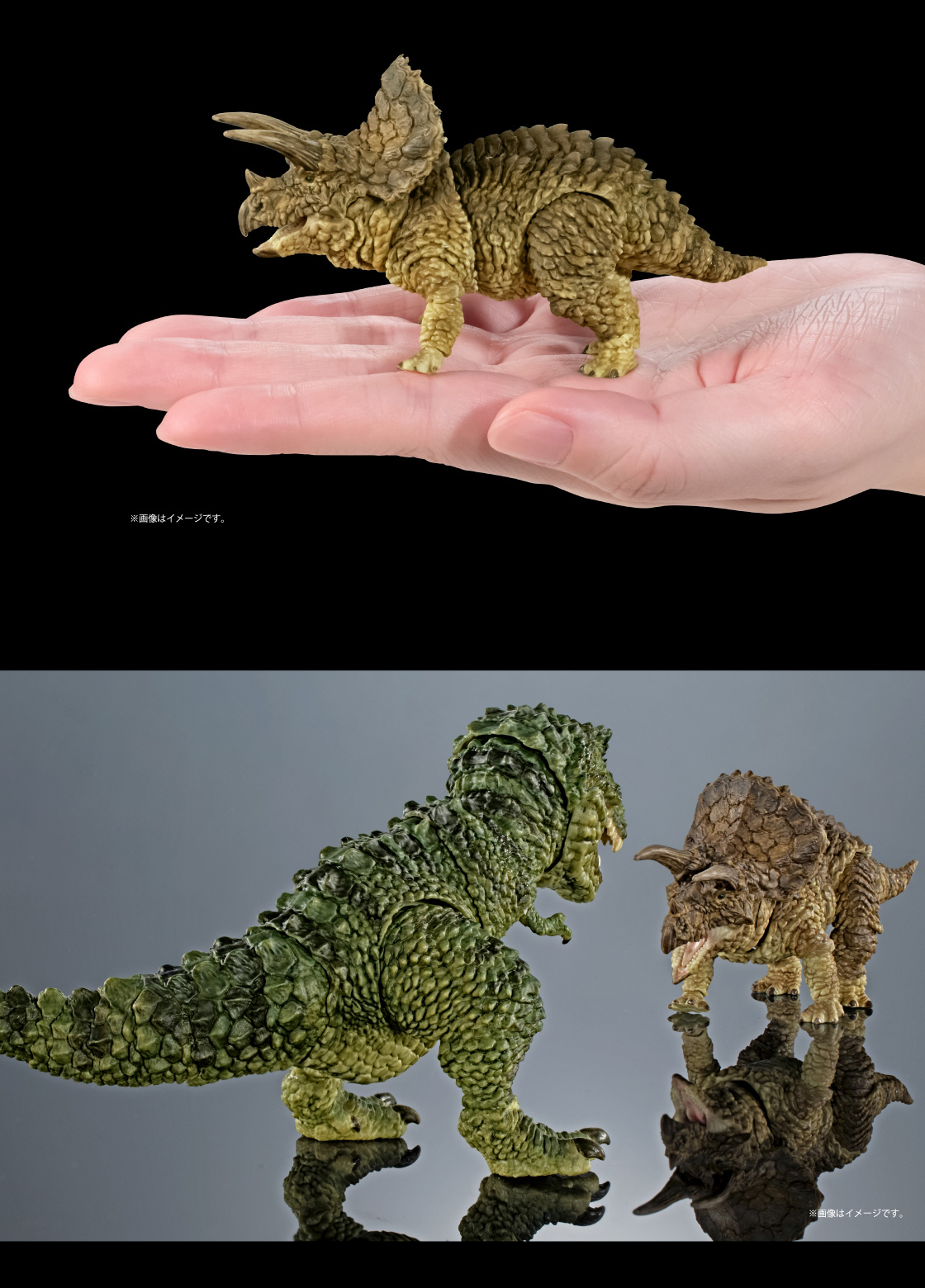 トリケラトプス ※画像はイメージです。