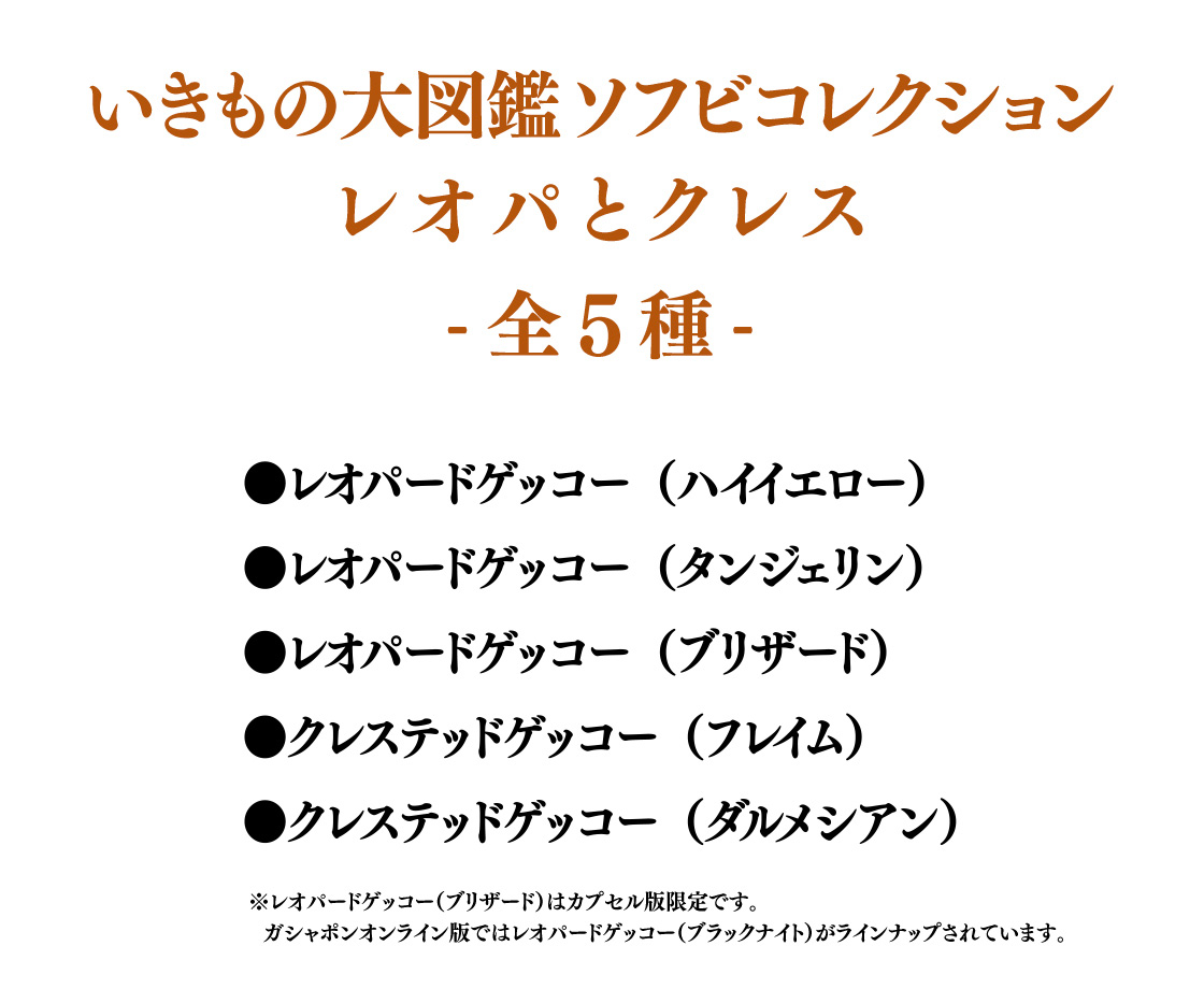 いきもの大図鑑ソフビコレクション レオパとクレス -全5種-　●レオパードゲッコー(ハイイエロー)　●レオパードゲッコー(タンジェリン)　●レオパードゲッコー(ブリザード)　●クレステッドゲッコー(フレイム)　●クレステッドゲッコー(ダルメシアン)