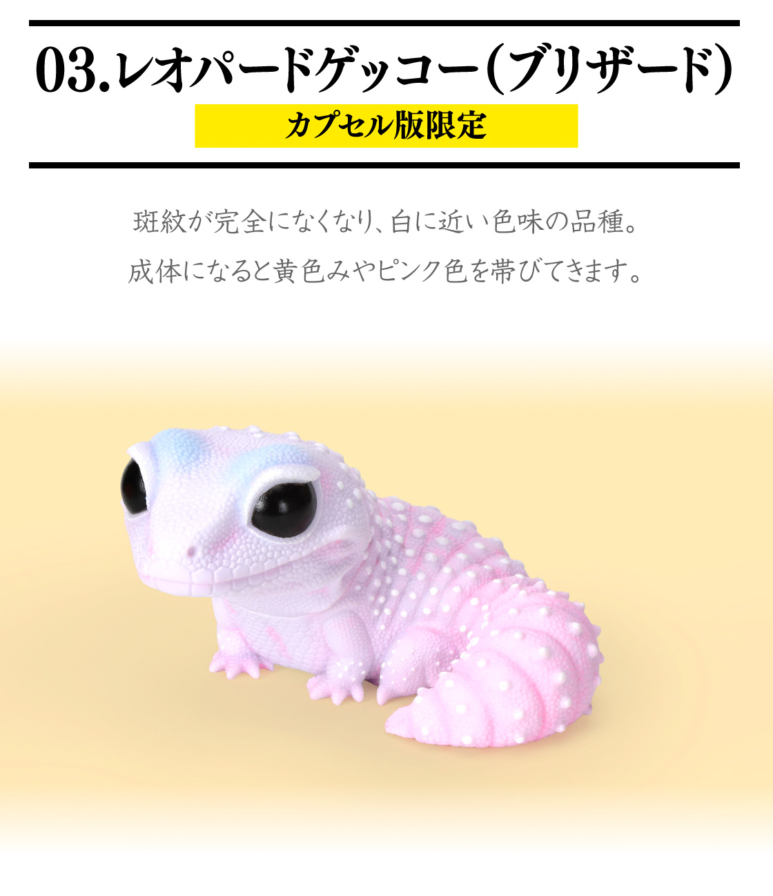 03.レオパードゲッコー(ブリザード) カプセル版限定