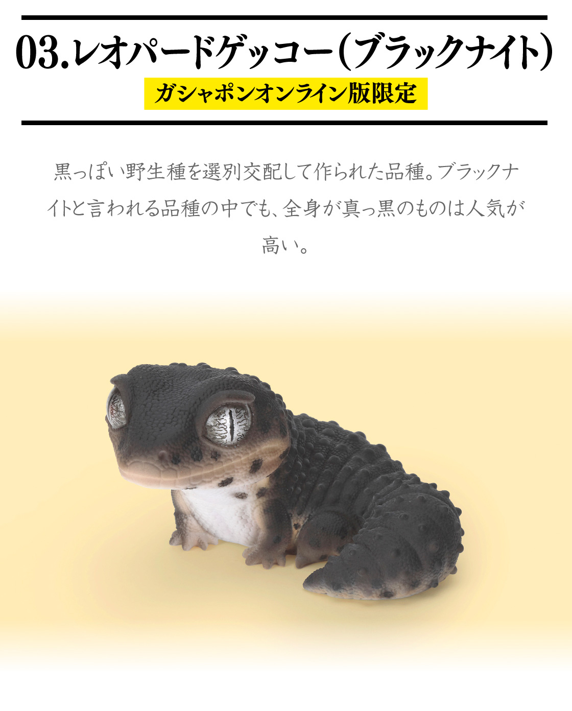 03.レオパードゲッコー(ブラックナイト) ガシャポンオンライン版限定