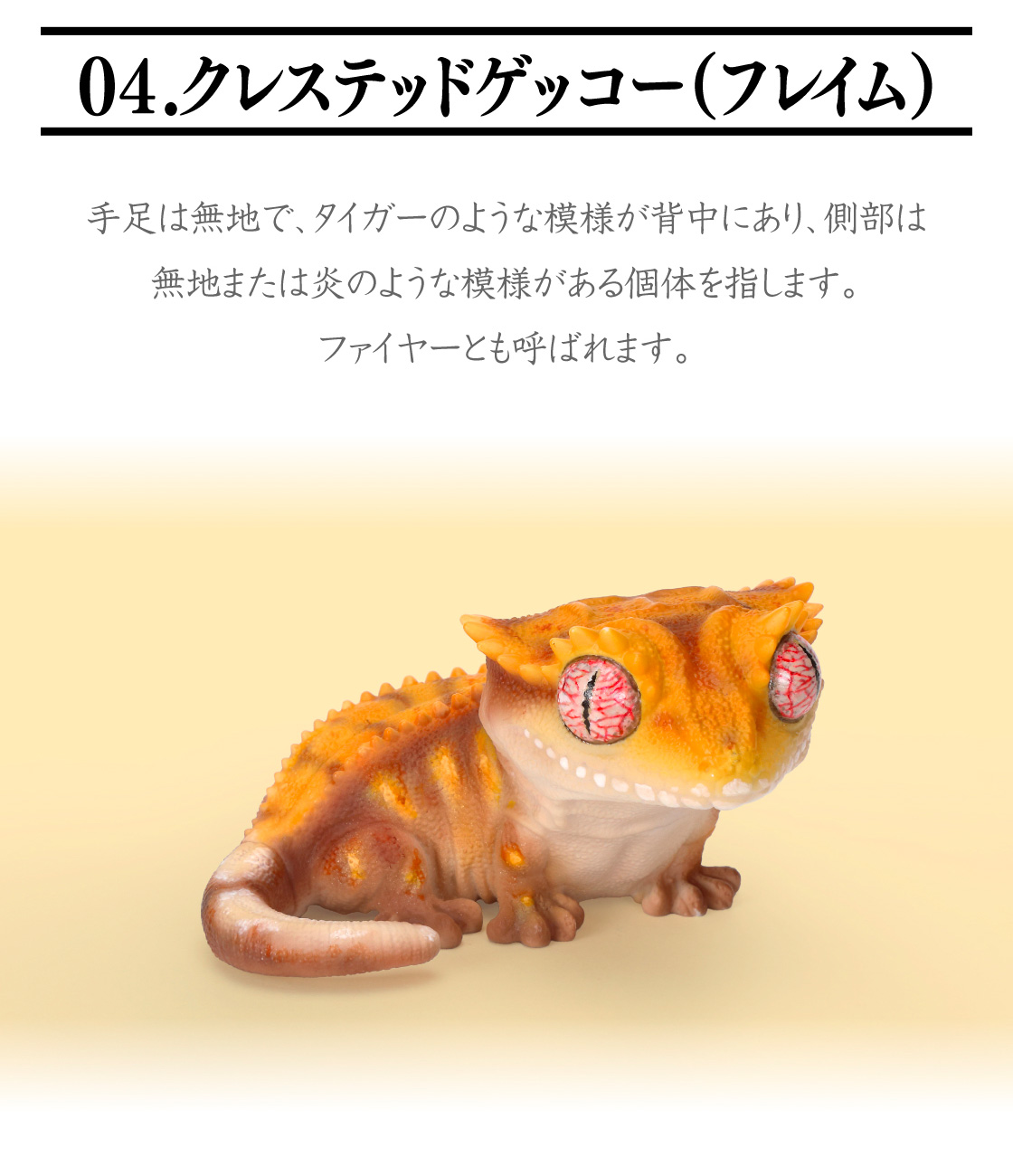 04.クレステッドゲッコー(フレイム)