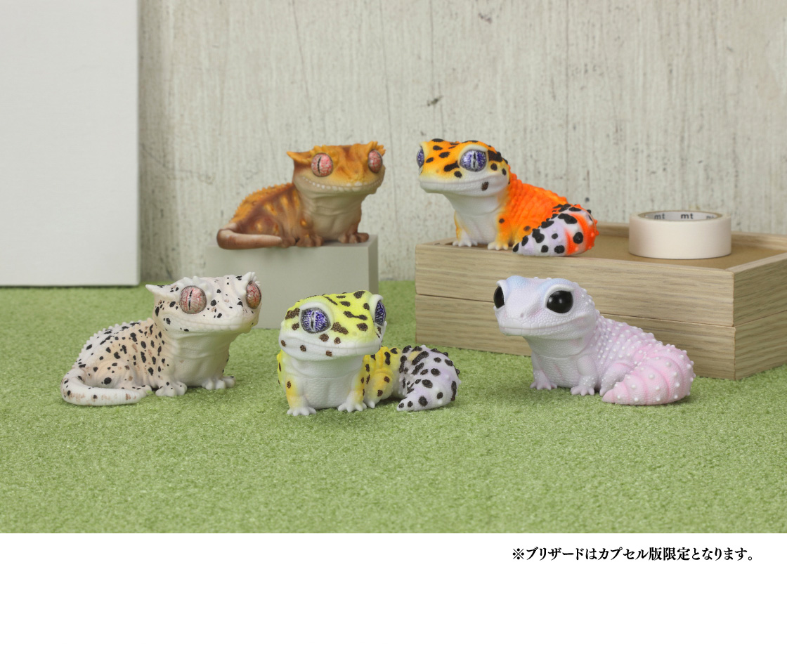 ブリザードはカプセル版限定となります。