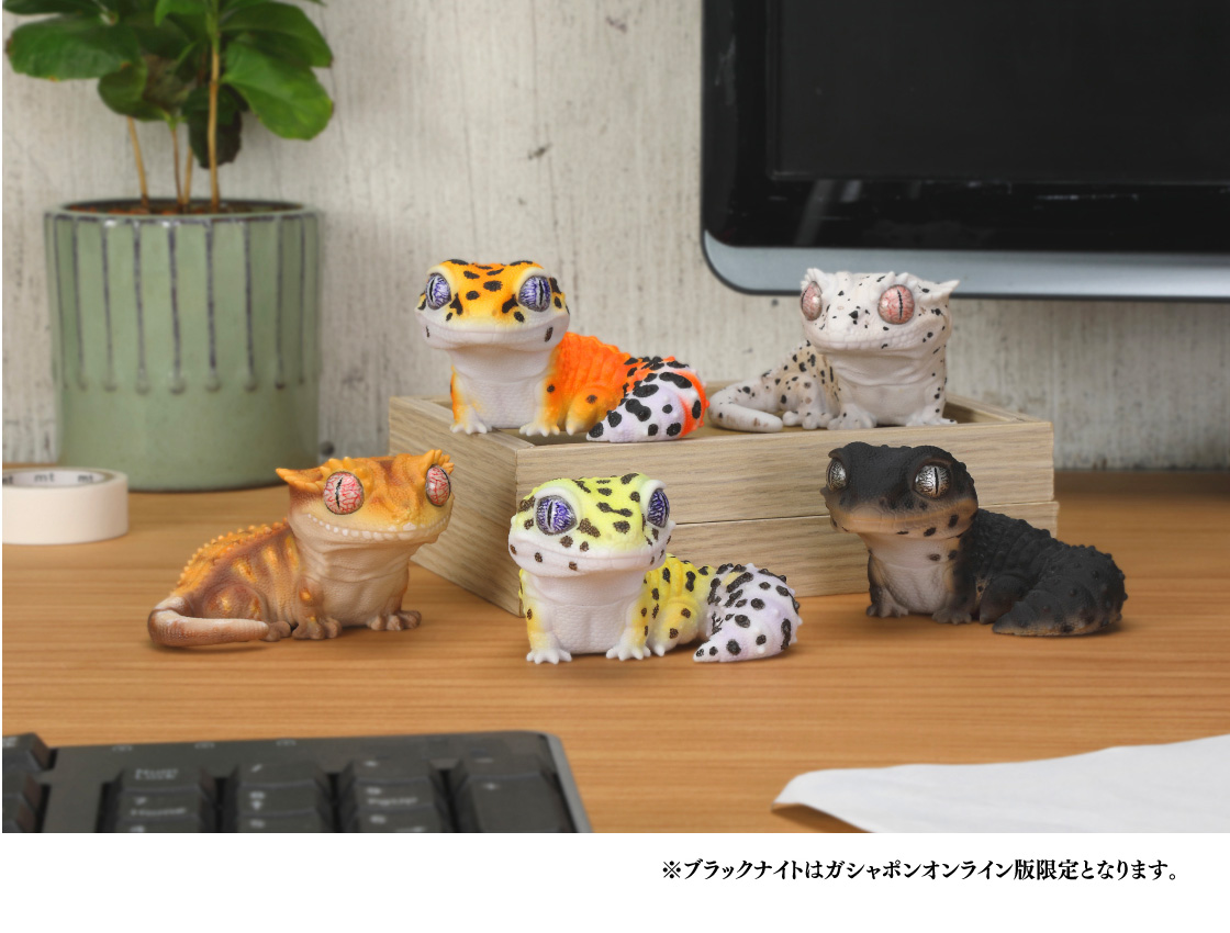 ブラックナイトはガシャポンオンライン版限定となります。