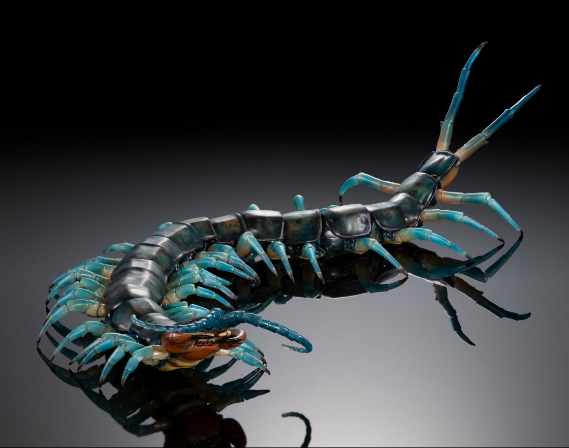 リュウジンオオムカデ