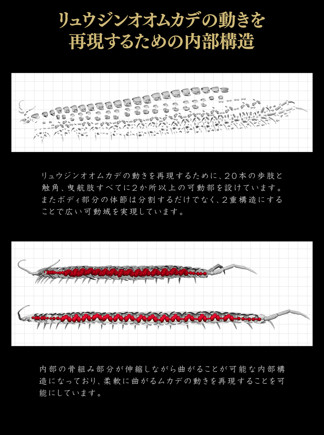 リュウジンオオムカデの動きを再現するための内部構造
