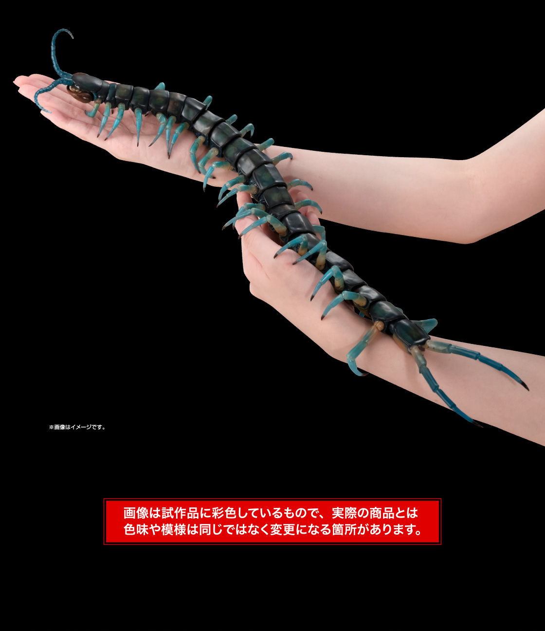 リュウジンオオムカデ 画像は試作品に彩色しているもので、実際の商品とは色味や模様は同じではなく変更になる箇所があります。