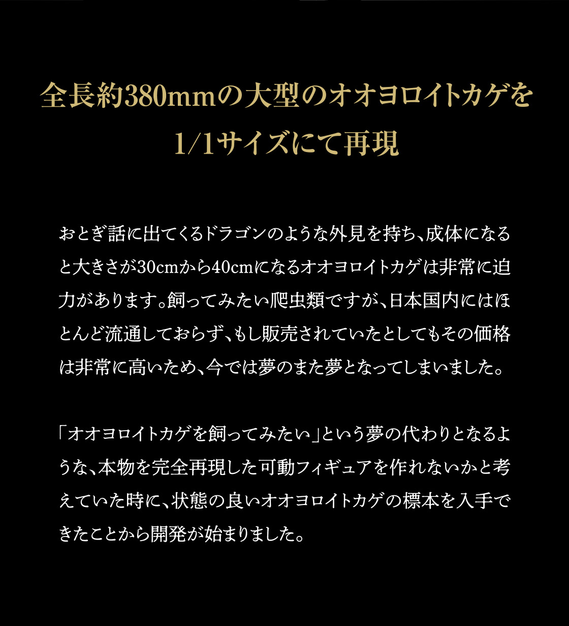 全長約380mmの大型のオオヨロイトカゲを1/1サイズにて再現
