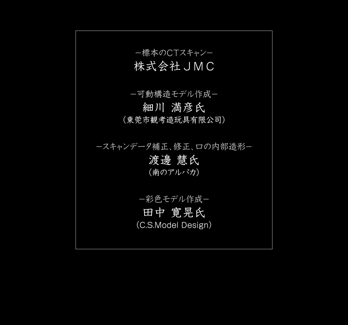 -標本のCTスキャン- 株式会社JMC　-可動構造モデル作成- 細川 満彦氏　-スキャンデータ補正、修正、口の内部造形- 渡邊 慧氏　-彩色モデル作成- 田中 寛晃氏