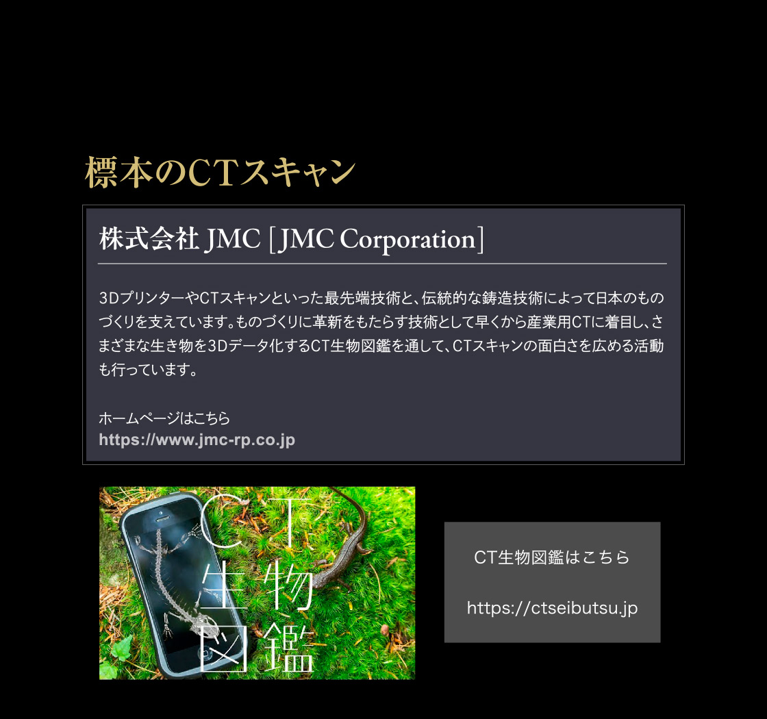 標本のCTスキャン 株式会社JMC [JMC Corporation]