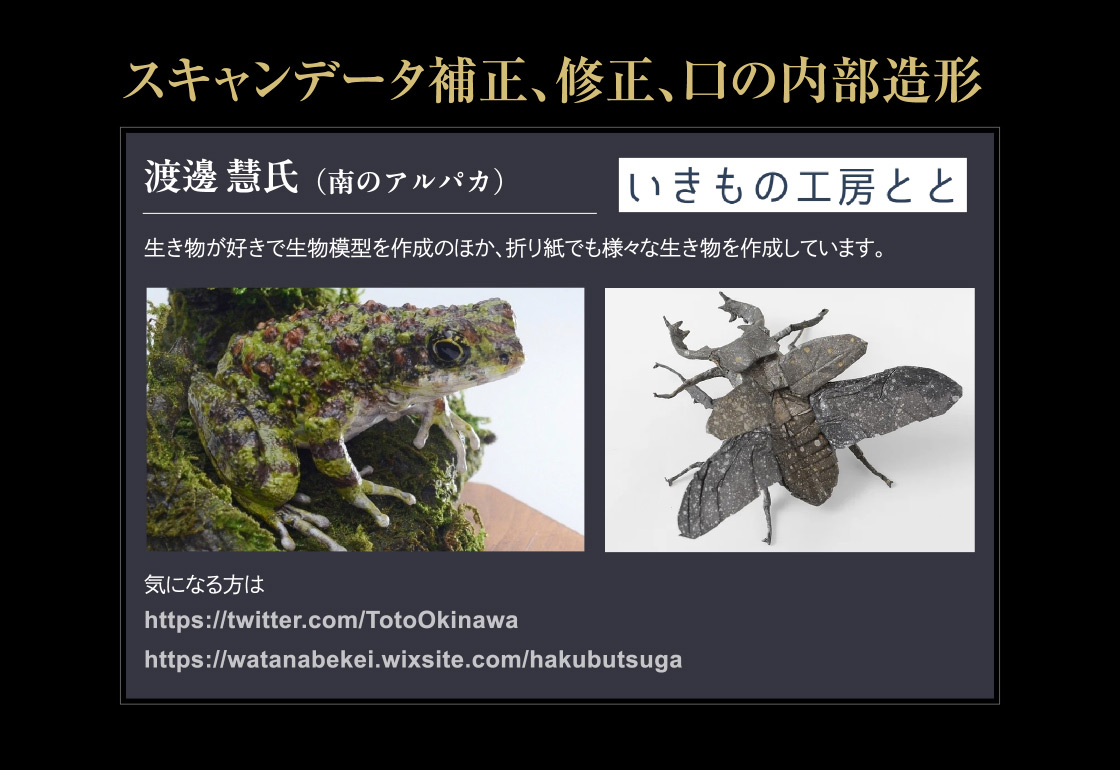 スキャンデータ補正、修正、口の内部造形 渡邊 慧氏（南のアルパカ）