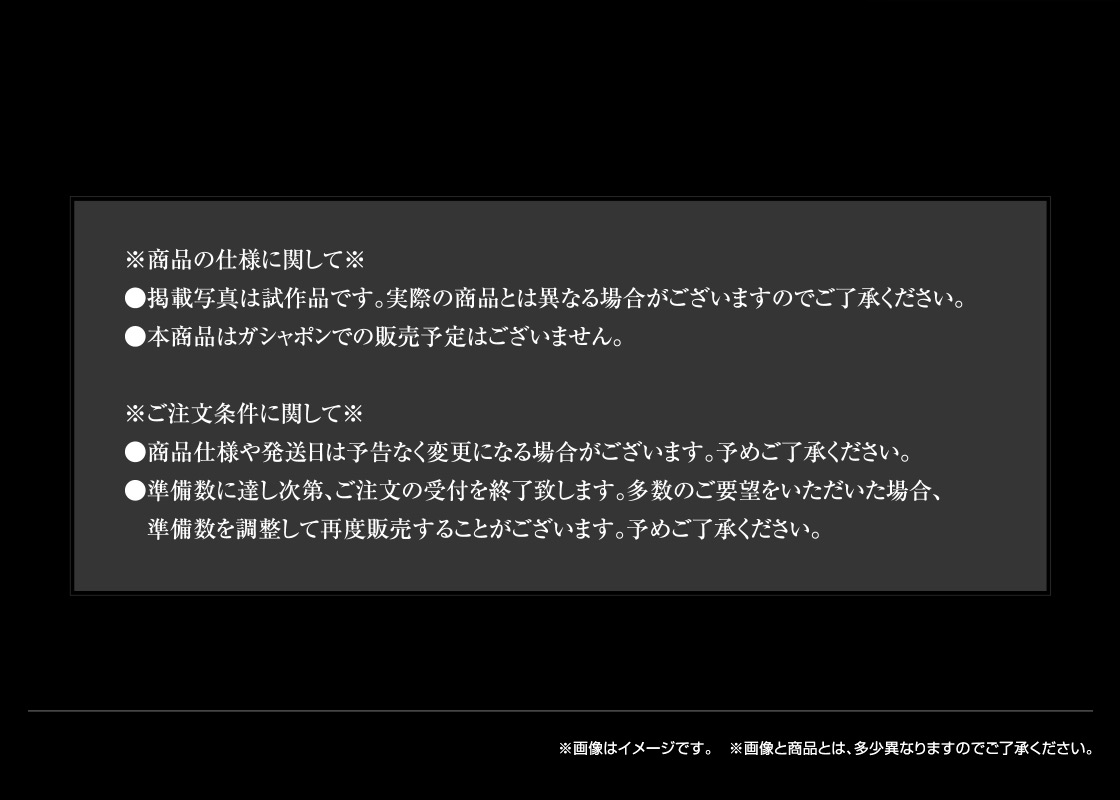 ※商品の仕様に関して※ ※ご注文条件に関して※