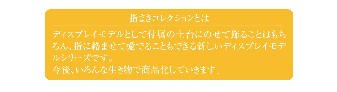 指まきコレクションとは