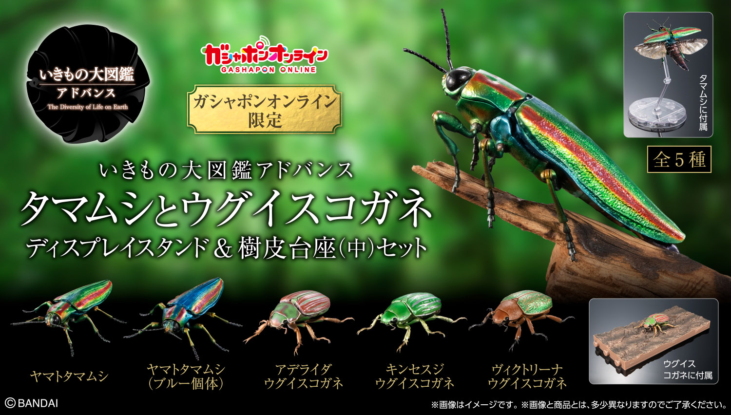 いきもの大図鑑｜ガシャポンオフィシャルサイト