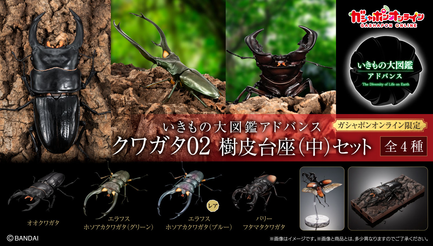 BANDAI - いきもの大図鑑アドバンス 3種 エクア/オキシ/マルス オンライン版 BANDAI - いきもの大図鑑アドバンス 3種 エクア/オキシ/マルス