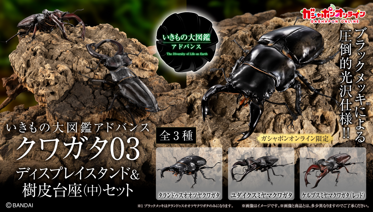 いきもの大図鑑｜ガシャポンオフィシャルサイト