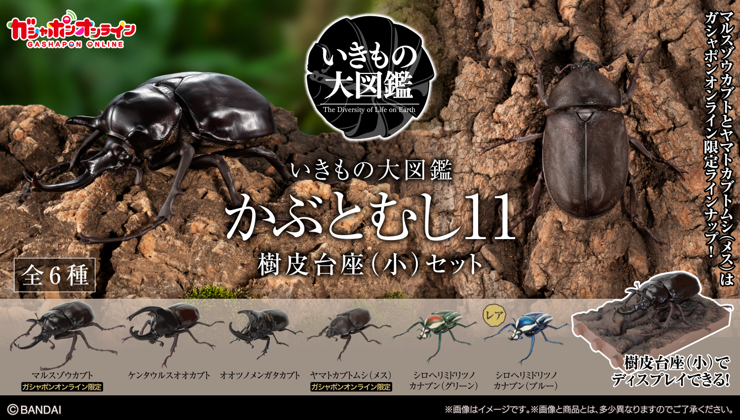 いきもの大図鑑｜ガシャポンオフィシャルサイト