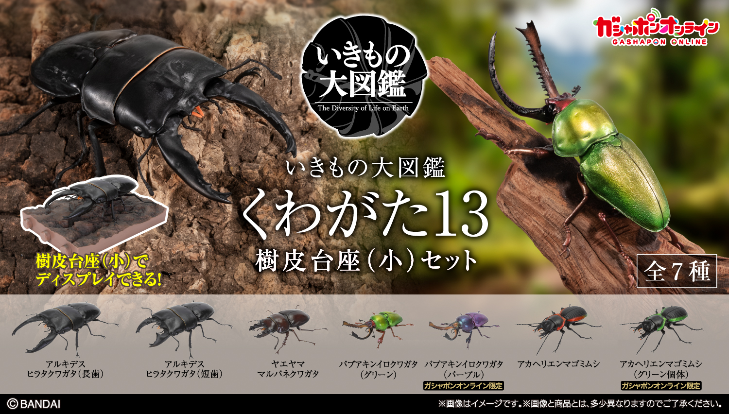 いきもの大図鑑｜ガシャポンオフィシャルサイト