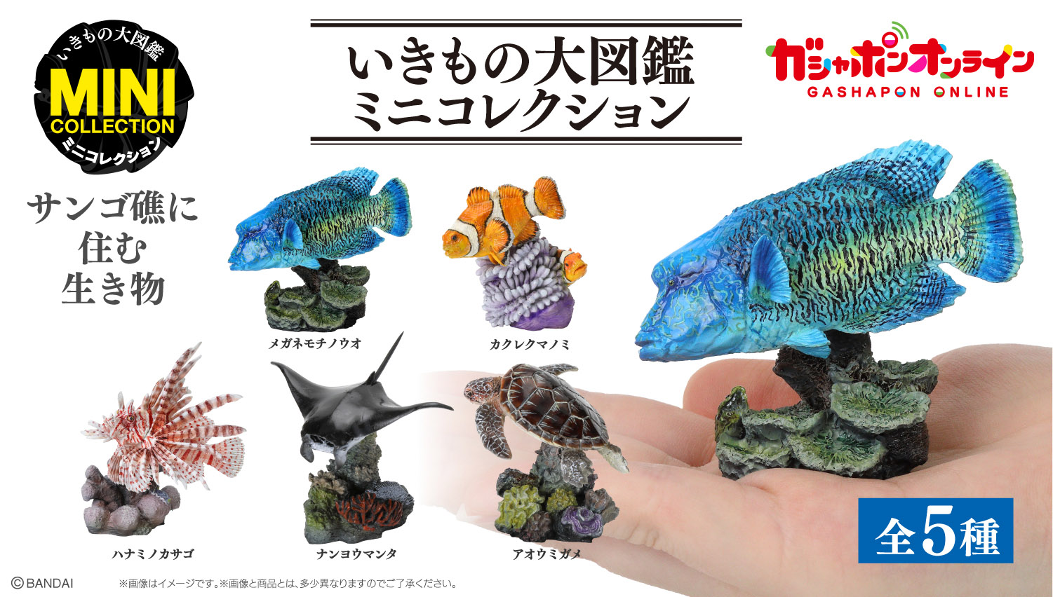 いきもの大図鑑ミニコレクション サンゴ礁に住む生き物