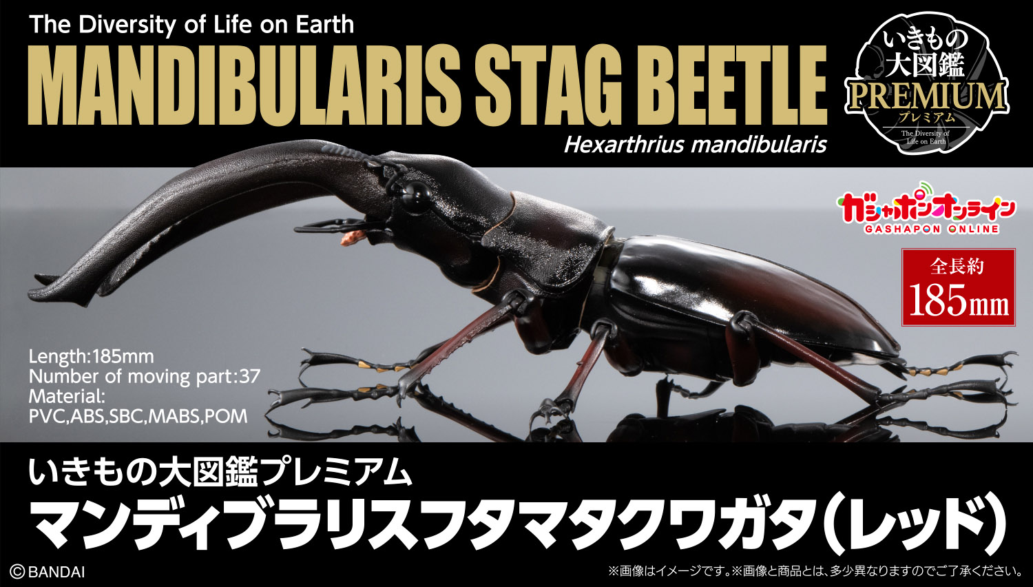いきもの大図鑑プレミアム マンディブラリスフタマタクワガタ（レッド）