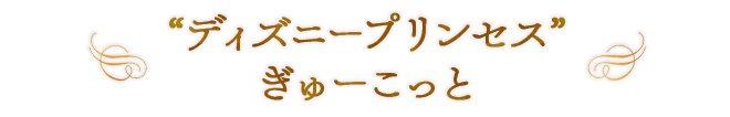 “ディズニープリンセス” ぎゅーこっと