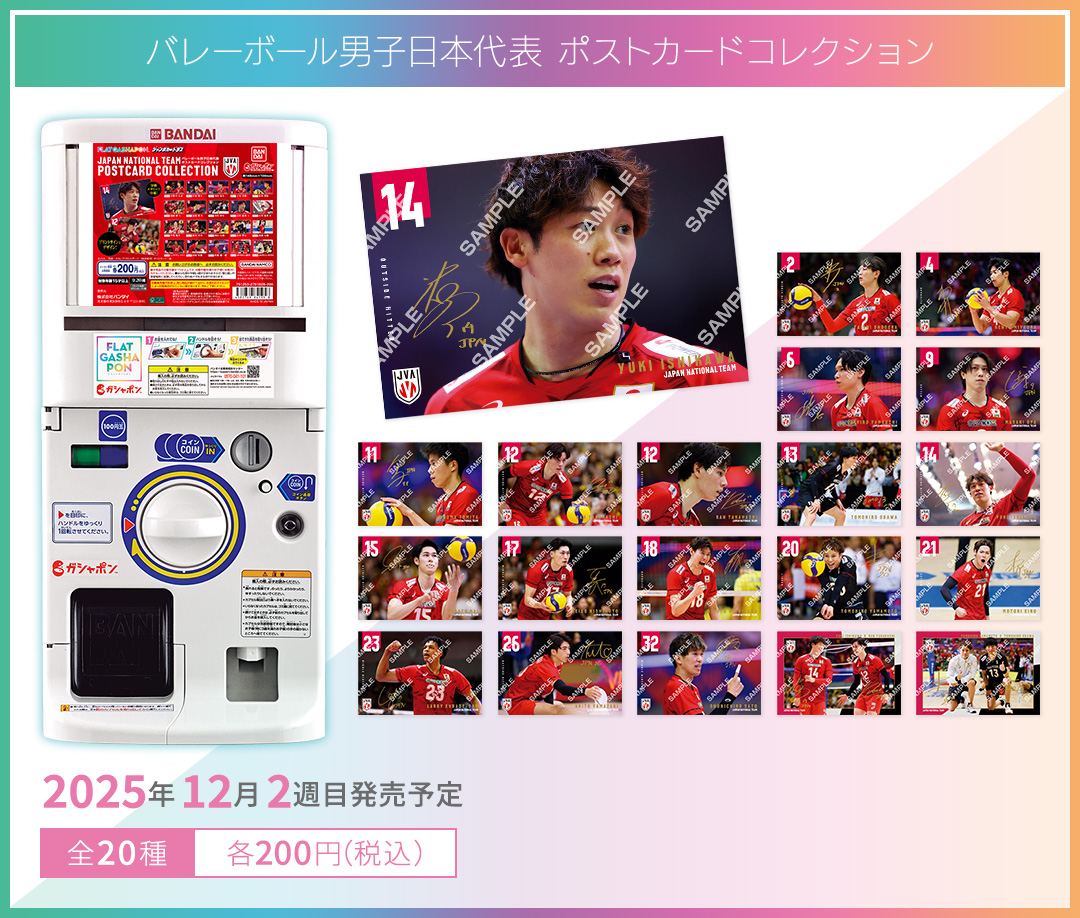 バレーボール男子日本代表 ポストカードコレクション