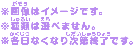 ※画像はイメージです。 ※種類は選べません。 ※各日なくなり次第終了です。