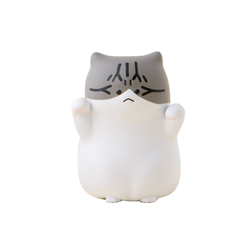 これ以上近づくとパンチしちゃう怒ってる猫ちゃん