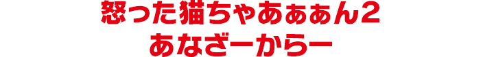 怒った猫ちゃあぁぁん２ あなざーからー