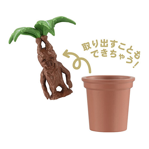 マンドレイク説明